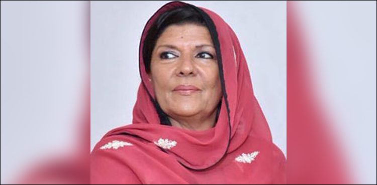 Aleema Khan Challenges FIA notices